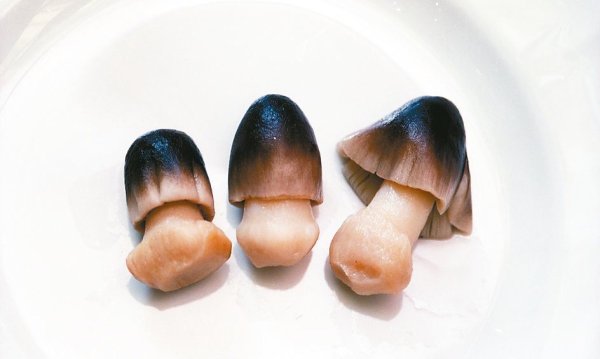 Straw mushrooms are high in size and rich in protein, but should not be eaten overnight or overnight