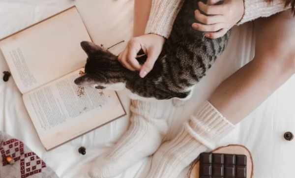 Will the cat come back after leaving? How to find the cat who ran away from home