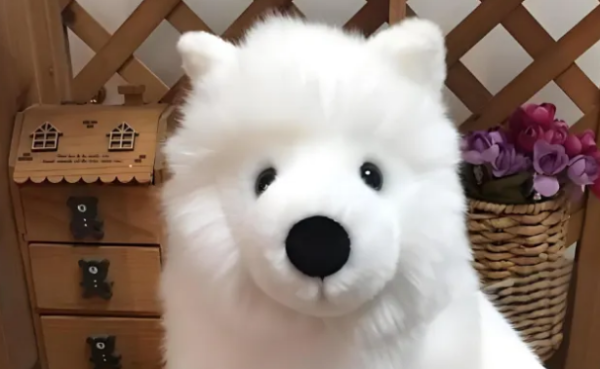 Which of the 5 kinds of dogs in the Wang family should you choose?