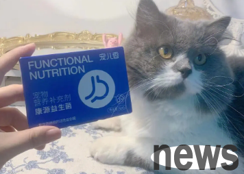 Feeding too much probiotics causes cat death