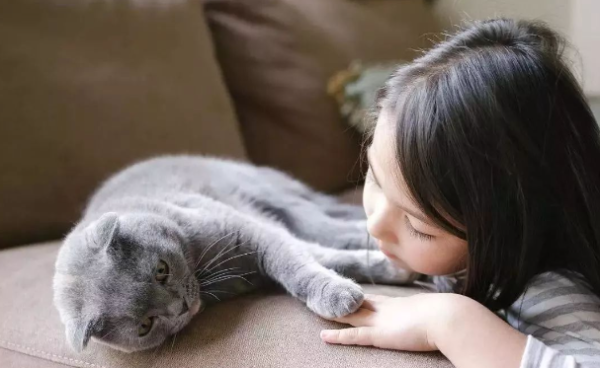 Is it a good phenomenon for cat plague to not defecate?