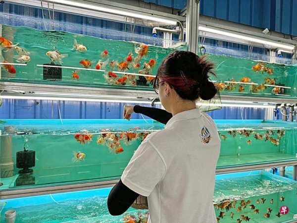 Qianhu s net profit dropped by more than 80% in the first half of the year, but its sales remained basically the same