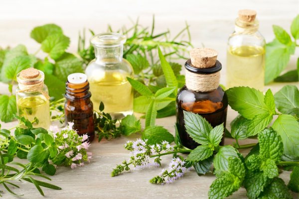 Doing a family is no longer a chore! Doctors teach you how to clean plants with natural cleaning