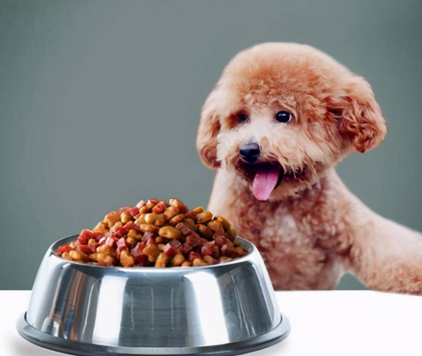 What foods can puppies eat? These are usually