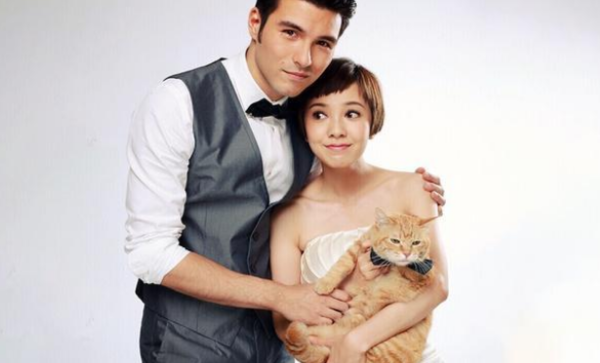 Maosheng counterattack! Disabled stray cat transforms into animal actors and plays with many big-name stars