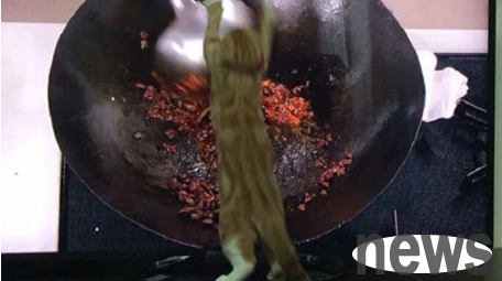 Video of cats 