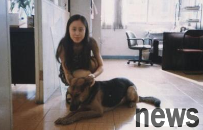 Dog was hit while running a red light, luckily only slightly injured, compensated with $1,000 compensation