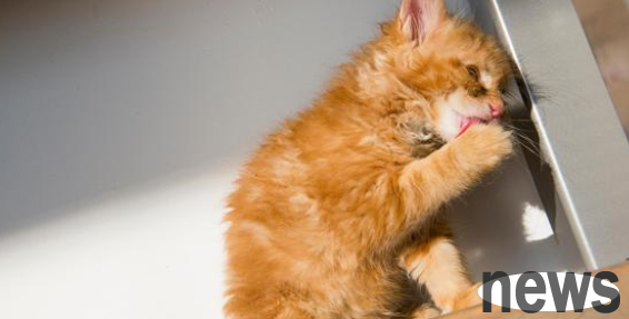 Heartwarming! A little boy 